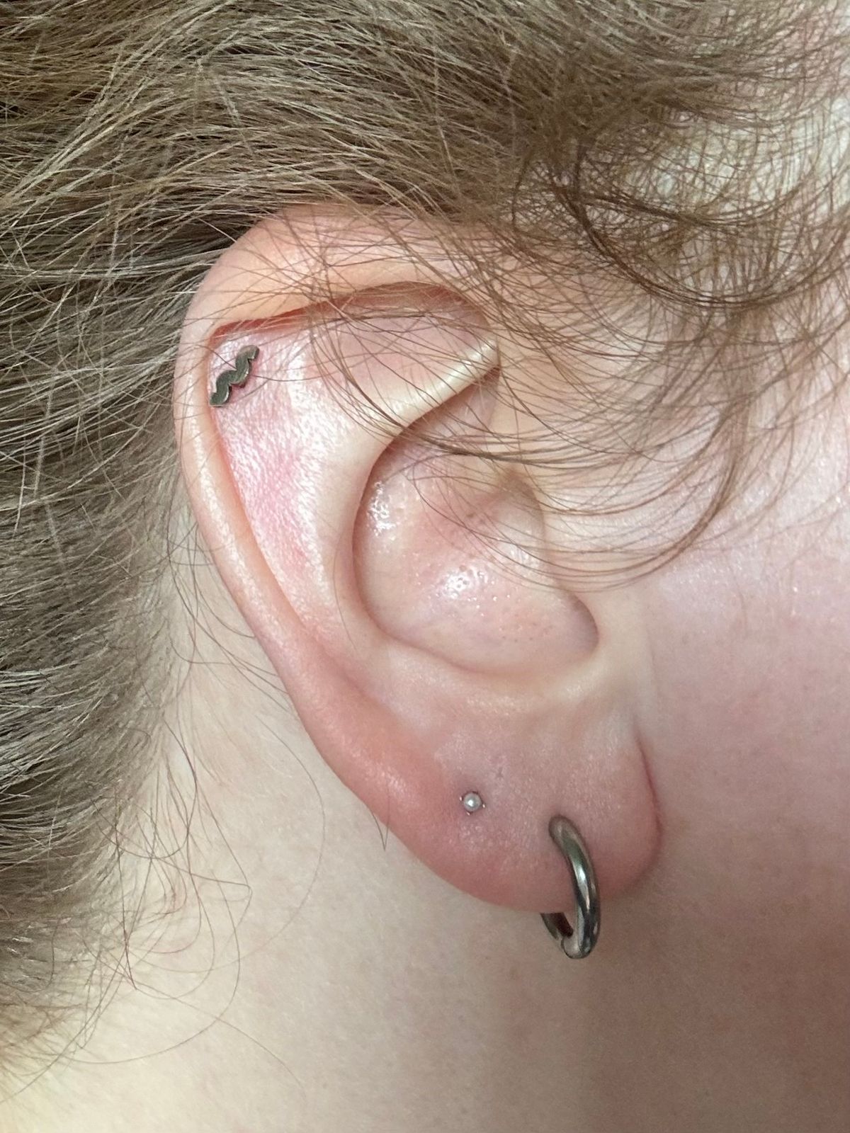 Alhudapk Com No Pull Piercing Disc Daith Spider Web Earring Gothic