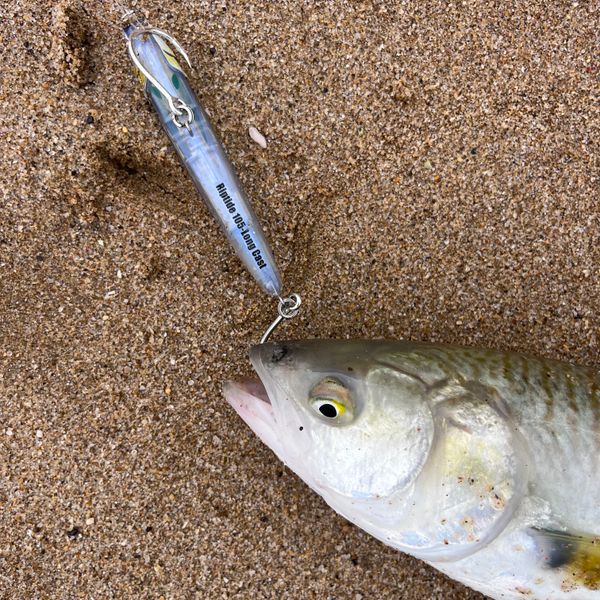 adidas atric backpack l DH3273 Model:DC 610-4C Crankbaits & Jerkbaits for such as a tall may2025