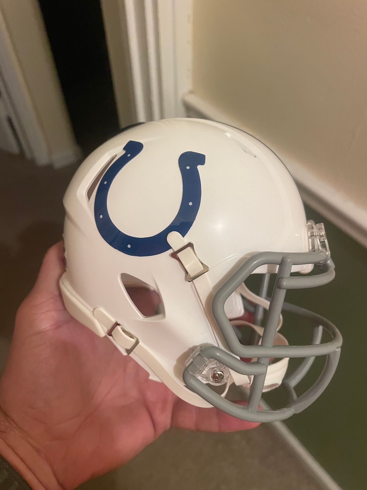 Philadelphia Eagles Mini Helmet  Fanz Collectibles