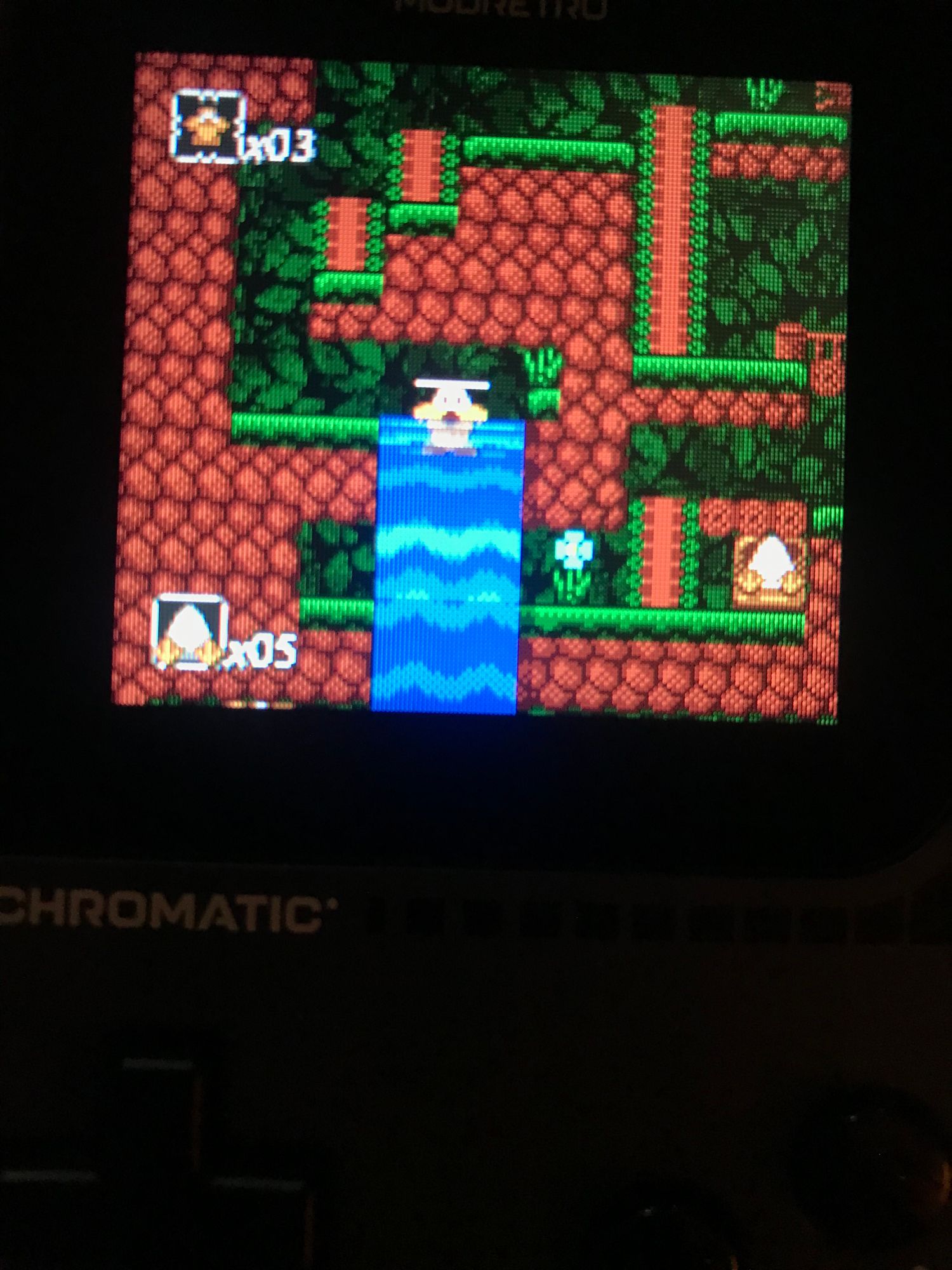 Jeu Toki Tori Sur Game Boy Color – Limited Run – Neuf Sous Blister (USA)
