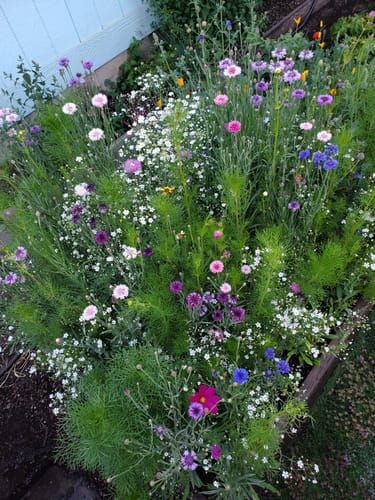 natural fertilizer for indoor plants Green Dews Fertilizer for Indoor Plants House Gleam Natural Odor Free